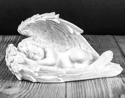Ангел спящий в крыльях - фото 5120