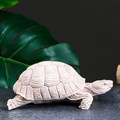 Фигура "Черепаха греческая" слоновая кость 92 415 - фото 94989