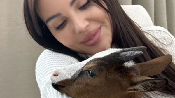 Наелась нехорошей травы: куда на самом деле пропала коза Джигана и Самойловой