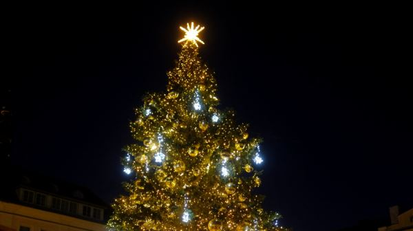 Огни на главной елке Эстонии зажглись только после призыва на русском языке