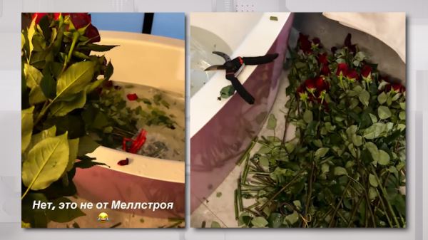 «Где моя трешка?» — Настасья Самбурская отрицает роман с трэш-блогером Mellstroy